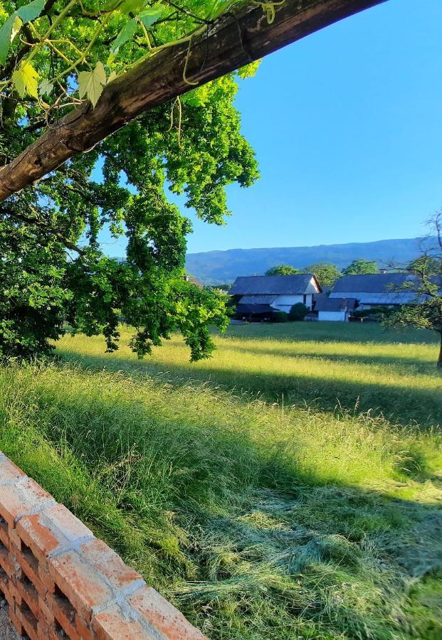 Guesthouse Ankl Lesce  Bagian luar foto
