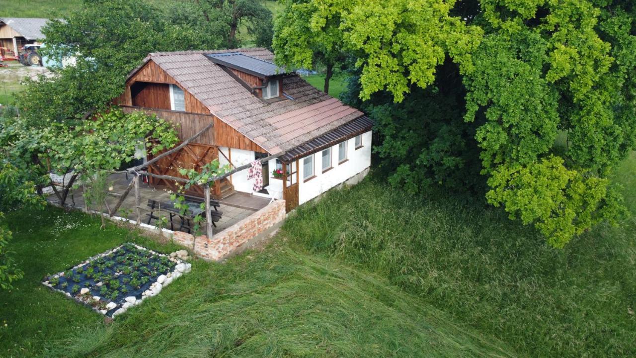 Guesthouse Ankl Lesce  Bagian luar foto