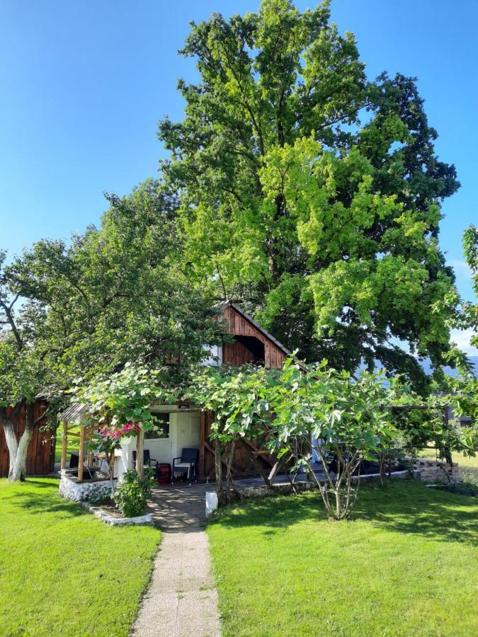 Guesthouse Ankl Lesce  Bagian luar foto