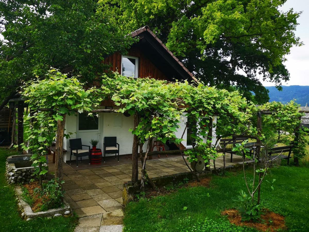Guesthouse Ankl Lesce  Bagian luar foto